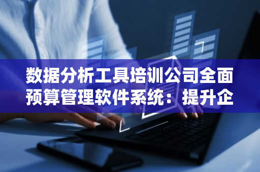 数据分析工具培训公司全面预算管理软件系统：提升企业管理效率的核心利器