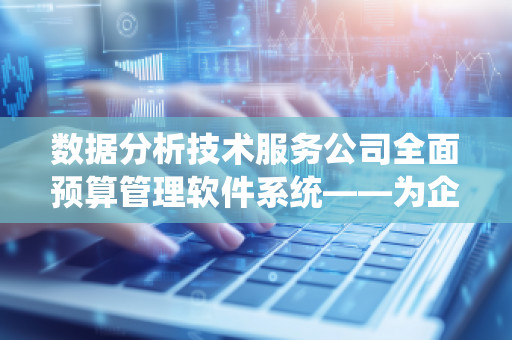 数据分析技术服务公司全面预算管理软件系统——为企业打造精细化管理利器