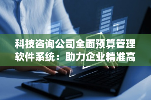 科技咨询公司全面预算管理软件系统：助力企业精准高效管理预算，提升决策力