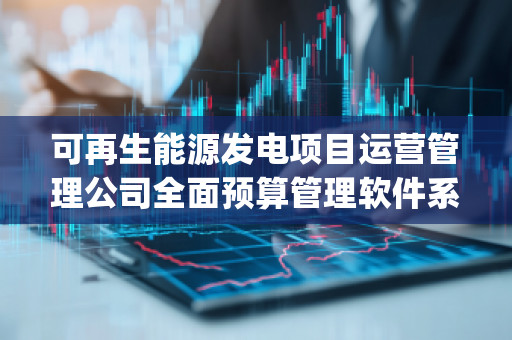 可再生能源发电项目运营管理公司全面预算管理软件系统——助力企业高效管理，优化资源配置