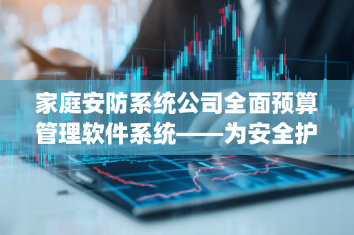 家庭安防系统公司全面预算管理软件系统——为安全护航，助力企业高效运营