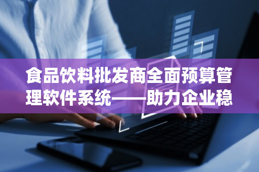 食品饮料批发商全面预算管理软件系统——助力企业稳步发展，精准掌控经营全局