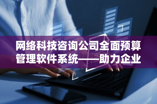 网络科技咨询公司全面预算管理软件系统——助力企业精准掌控财务