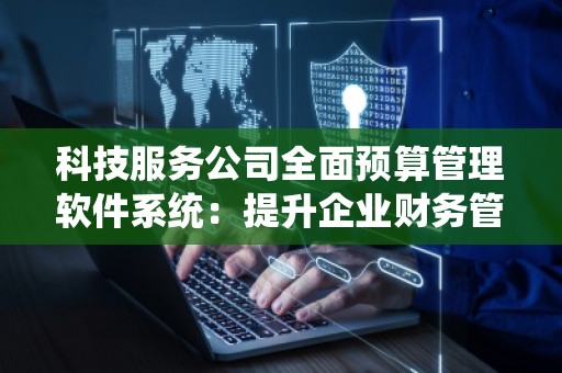 科技服务公司全面预算管理软件系统：提升企业财务管理效率的利器