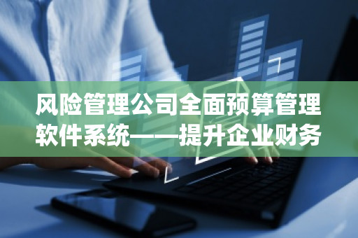 风险管理公司全面预算管理软件系统——提升企业财务管控能力，保障企业稳步发展