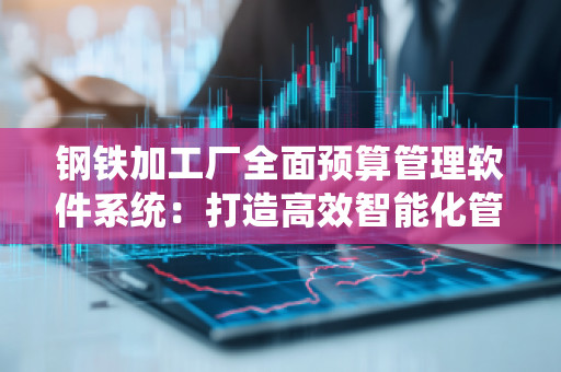 钢铁加工厂全面预算管理软件系统：打造高效智能化管理新模式