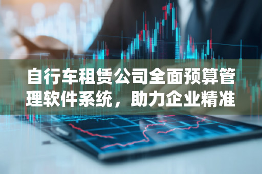 自行车租赁公司全面预算管理软件系统，助力企业精准财务管理