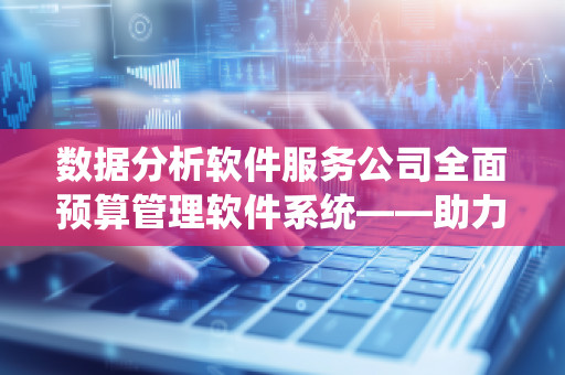 数据分析软件服务公司全面预算管理软件系统——助力企业实现精细化管理