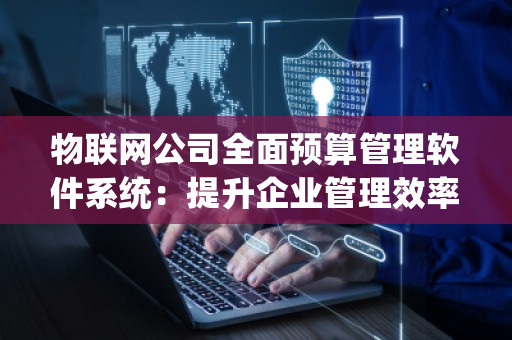 物联网公司全面预算管理软件系统：提升企业管理效率，助力企业可持续发展