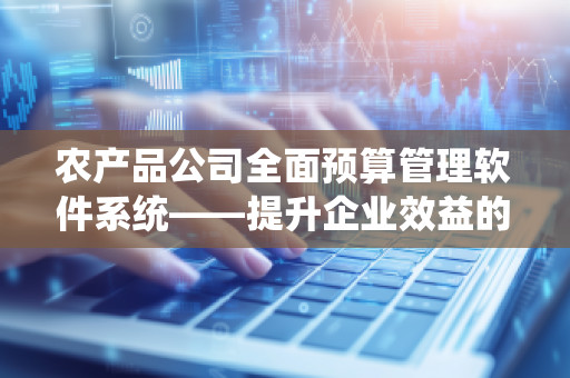 农产品公司全面预算管理软件系统——提升企业效益的利器