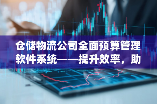 仓储物流公司全面预算管理软件系统——提升效率，助力企业增长