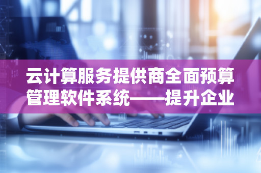 云计算服务提供商全面预算管理软件系统——提升企业财务管理的利器