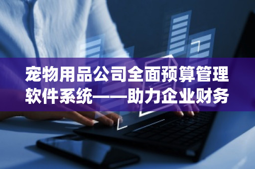 宠物用品公司全面预算管理软件系统——助力企业财务精细化管理，提升竞争力