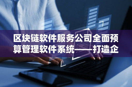 区块链软件服务公司全面预算管理软件系统——打造企业财务管控新格局