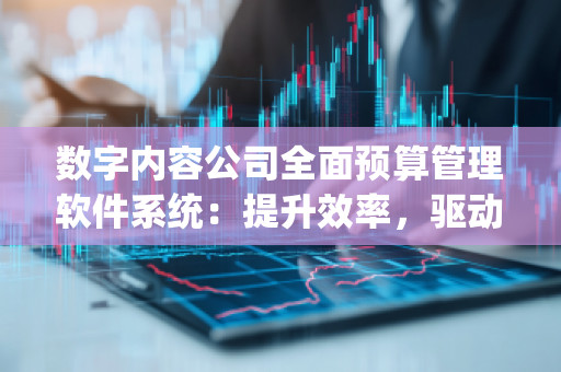 数字内容公司全面预算管理软件系统：提升效率，驱动增长