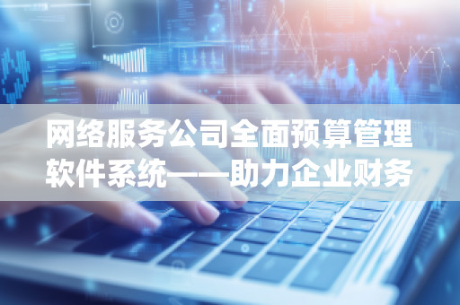 网络服务公司全面预算管理软件系统——助力企业财务精细化管理，提升决策效能