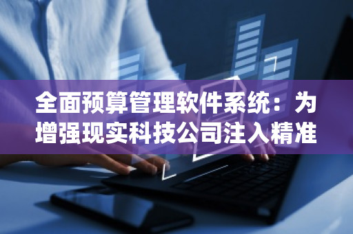 全面预算管理软件系统：为增强现实科技公司注入精准规划的动力