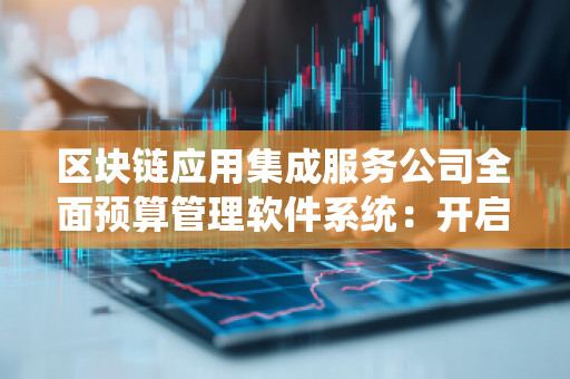 区块链应用集成服务公司全面预算管理软件系统：开启智慧企业财务新时代