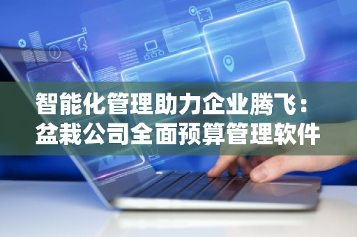 智能化管理助力企业腾飞：盆栽公司全面预算管理软件系统