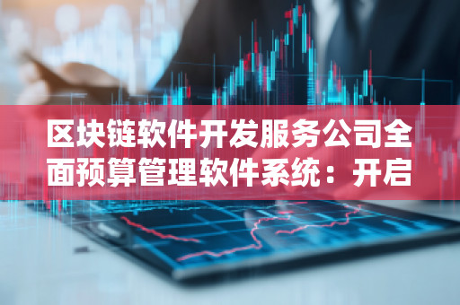 区块链软件开发服务公司全面预算管理软件系统：开启企业财务管理的新篇章