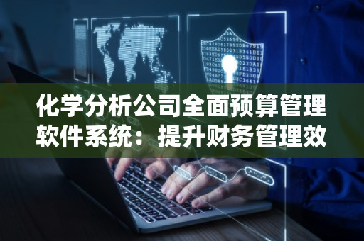 化学分析公司全面预算管理软件系统：提升财务管理效率与精准决策