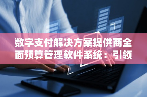 数字支付解决方案提供商全面预算管理软件系统：***企业数字化转型新未来