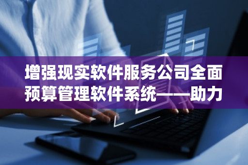 增强现实软件服务公司全面预算管理软件系统——助力企业实现高效精准的预算管控